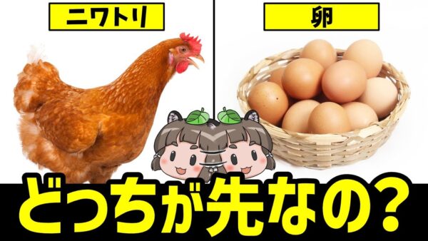 【ジレンマ】「ニワトリが先か、卵が先か」結局どっちが先なの？