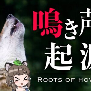 【疑問】生き物はいつから鳴き始めたのか｜鳴き声の起源