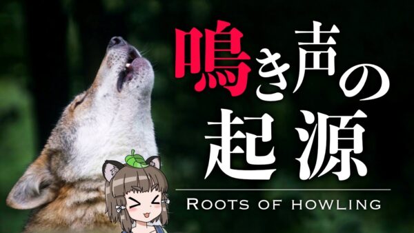 【疑問】生き物はいつから鳴き始めたのか｜鳴き声の起源