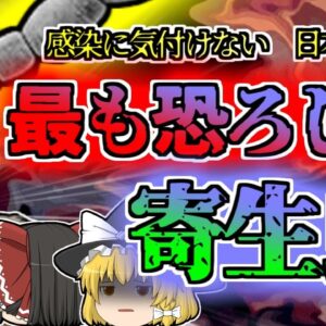 【2001年北海道】「顔色が悪い」と指摘されていた男性 知らない間に寄生虫に肝臓を蝕まれそのほとんどを摘出することに…日本で最も恐ろしいと言われる寄生虫【ゆっくり解説】
