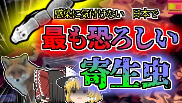 【2001年北海道】「顔色が悪い」と指摘されていた男性 知らない間に寄生虫に肝臓を蝕まれそのほとんどを摘出することに…日本で最も恐ろしいと言われる寄生虫【ゆっくり解説】