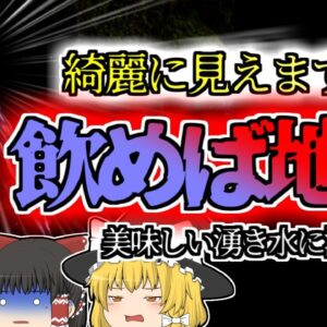 【2005年大分】子供たちを襲った地獄の症状 原因は美しく透き通った『水』？【ゆっくり解説】