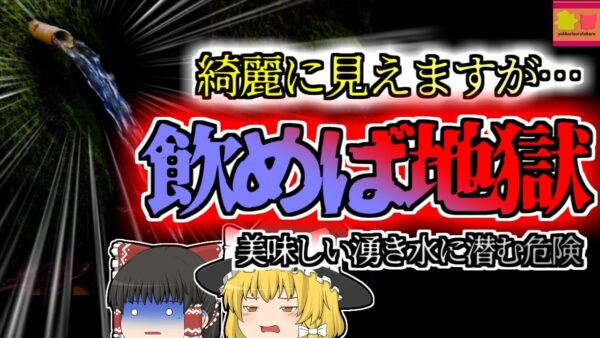 【2005年大分】子供たちを襲った地獄の症状 原因は美しく透き通った『水』？【ゆっくり解説】
