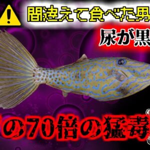 【2007年長崎】釣ったカワハギを調理して食べた男性 その後筋肉が溶けてしまう奇病を発症 間違えて毒をもつ魚を食べてしまっていた？『ブダイ・ソウシハギ食中毒』【ゆっくり解説】