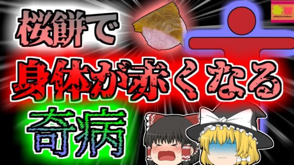 【2007年岐阜】和菓子を食べて体が真っ赤に変色⁉謎の奇病に苦しんだOL『コチニールアレルギー』【ゆっくり解説】