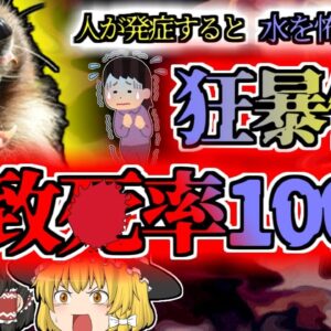 【2011年ｱﾒﾘｶ】発症したら絶対に助からない 狂暴になり水を怖がる奇病 原因は『アライグマ』？【ゆっくり解説】