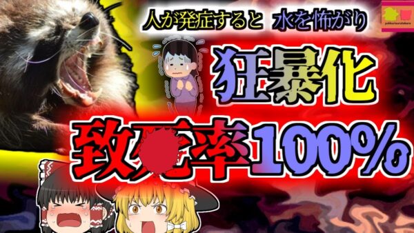 【2011年ｱﾒﾘｶ】発症したら絶対に助からない 狂暴になり水を怖がる奇病 原因は『アライグマ』？【ゆっくり解説】