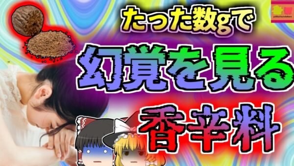 【2016年宮城】沢山食べると幻覚が見える香辛料 最悪命を落とすことも…『ナツメグ中毒の恐怖』【ゆっくり解説】