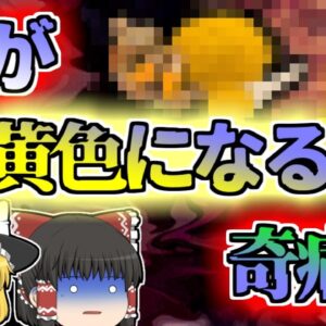 【2016年兵庫】飲み会前によく飲んでおく「アレ」で全身がまっ黄色に変色？意外な肝臓のアレルギー【ゆっくり解説】