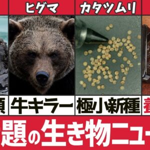 【超厳選】2022年に話題になった15の生き物ニュース