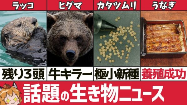 【超厳選】2022年に話題になった15の生き物ニュース