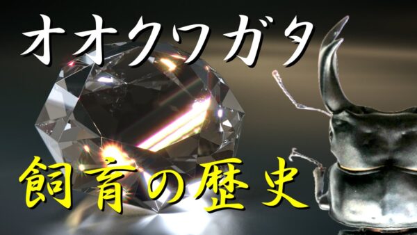 【ゆっくり解説】#35 オオクワガタ(前編)～黒いダイヤの歴史～