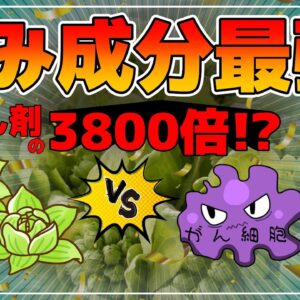 【ゆっくり解説】苦みの成分に抗がん剤の3800倍？ガンを抑制する栄養素を含む食べ物！