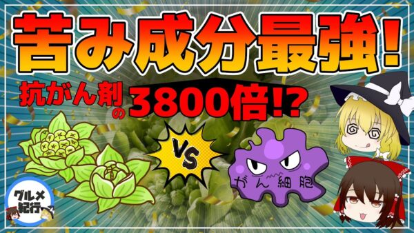 【ゆっくり解説】苦みの成分に抗がん剤の3800倍？ガンを抑制する栄養素を含む食べ物！
