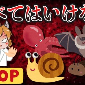 【奇食】食べたらアウト！？ゲテモノ生物を食べた人の末路5選