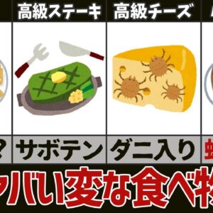 【奇食】食べても大丈夫なの！？変な食べ物5選　パート5