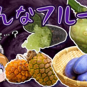 【珍果実】まるで悪魔の実！？世界の珍しい変なフルーツ6選 -パート2-