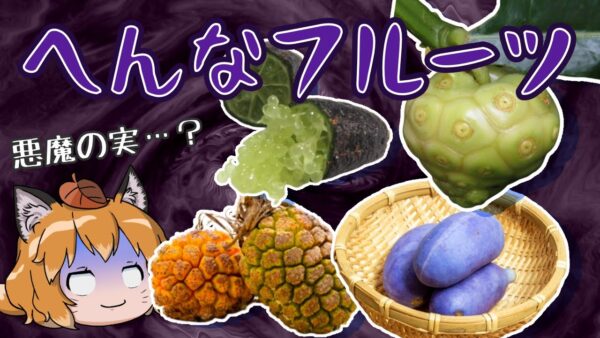 【珍果実】まるで悪魔の実！？世界の珍しい変なフルーツ6選 -パート2-