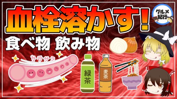 【ゆっくり解説】ドロドロ血液改善！血栓を溶かすスゴい食べ物6選