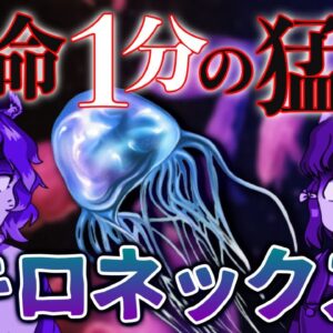【猛毒】地球最強の毒クラゲ！？キロネックス【へんないきもの#92】