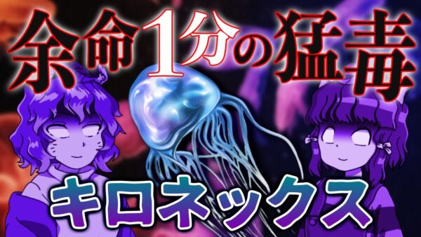 【猛毒】地球最強の毒クラゲ！？キロネックス【へんないきもの#92】