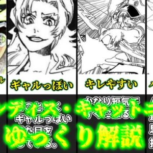 【ゆっくり解説】バンビーズ最弱疑惑がある滅却師 キャンディス・キャットニップ【BLEACH】