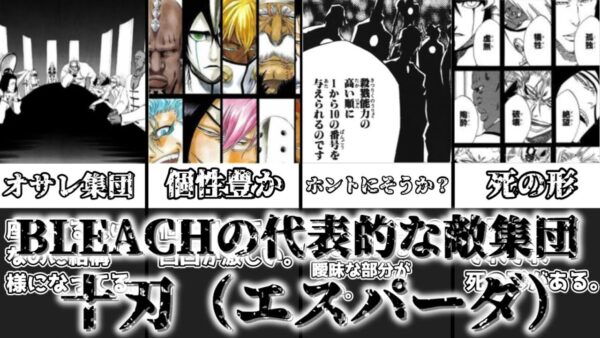 【ゆっくり解説】BLEACHを代表する敵組織 十刃【BLEACH】