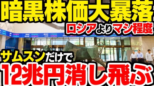 【ゆっくり解説】韓国株価、サムスンをはじめとして超暴落状態