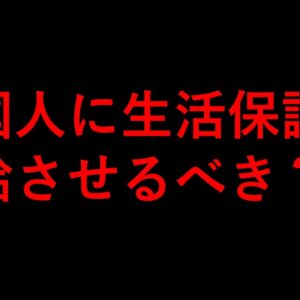 【政治まとめ】外国人への生活保護について再考しよう
