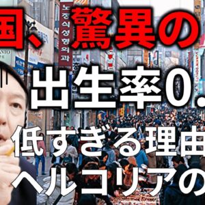 【ゆっくり解説】韓国で進む少子化は何が原因なのか探ってみた