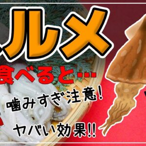 【ゆっくり解説】スルメを毎日食べると…健康効果がすごかった！あたりめとの違いって？