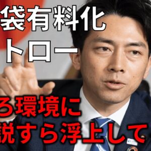 【ゆっくり解説】レジ袋有料化、紙ストロー普及が「偽善」だと思う理由