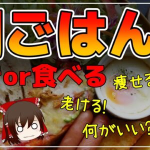 【ゆっくり解説】朝食を抜くと体に起こること まとめ！総集編【ゆっくりグルメ紀行】