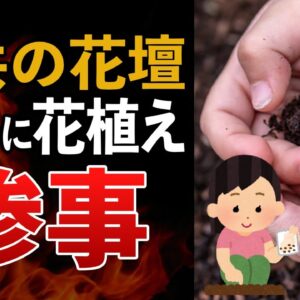 【花ゲリラ】荒れた公園に花を植えよう！←それ、犯罪です