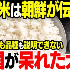 米は朝鮮経由で日本に伝わったと言い張る韓国の大嘘【ゆっくり解説】