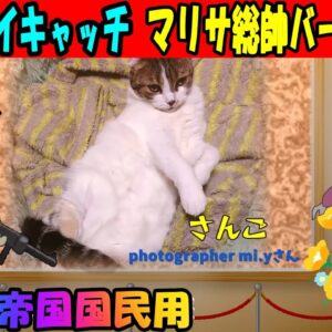 【マリサ帝国(仮)国民用】アイキャッチゾンビ・マリサ総帥バージョン！