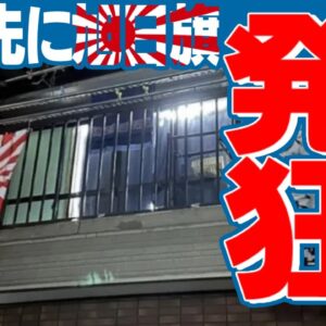 かなり有効？韓国人観光客、旭日旗を見て勝手に発狂【ゆっくり解説】