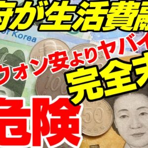 【韓国経済】貿易も内需もズタボロで政府が生活費貸付する模様【ゆっくり開始】