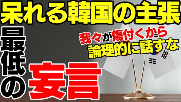 【韓国の妄言】自分達が傷付くから日本は論理的に話すな←？？？【ゆっくり解説】