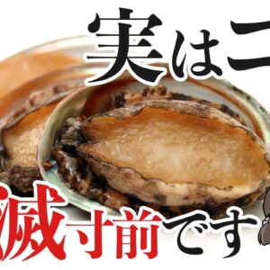 【悲報】みんなが食べてるアワビ、絶滅危惧種になりました…