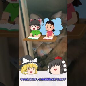 【1分で分かる！】資格の予備校の簡単な選び方【資格】 #Shorts