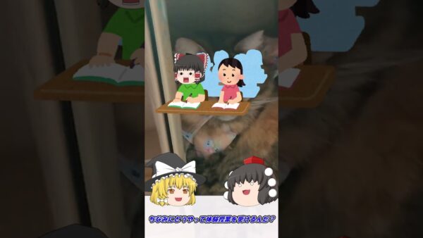 【1分で分かる！】資格の予備校の簡単な選び方【資格】 #Shorts