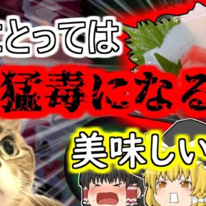 【2004年岩手】人間にとっては健康的 しかし猫にとっては猛毒になってしまうあの食べ物…『ビタミンB1欠乏症』【ゆっくり解説】