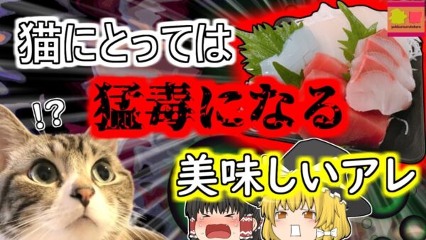 【2004年岩手】人間にとっては健康的 しかし猫にとっては猛毒になってしまうあの食べ物…『ビタミンB1欠乏症』【ゆっくり解説】