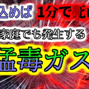 【2011年東京】『見つけることができない猛毒ガス』仕込みを任されていたバイト女性  いつの間にか厨房で嘔吐し、意識を失った状態で発見される 【ゆっくり解説】