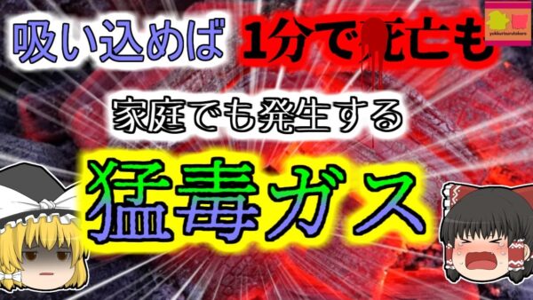 【2011年東京】『見つけることができない猛毒ガス』仕込みを任されていたバイト女性  いつの間にか厨房で嘔吐し、意識を失った状態で発見される 【ゆっくり解説】