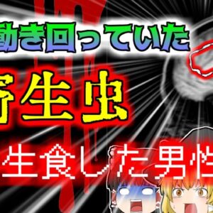 【2017年中国】突然気絶して痙攣を始めた男性 脳から10cm以上ある生きた寄生虫が発見される『マンソン裂頭条虫症』【ゆっくり解説】