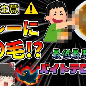 【2021年福岡】大学生バイト たった15秒の動画投稿で人生終了 福岡カレーチェーン店バイトテロ事件【ゆっくり解説】