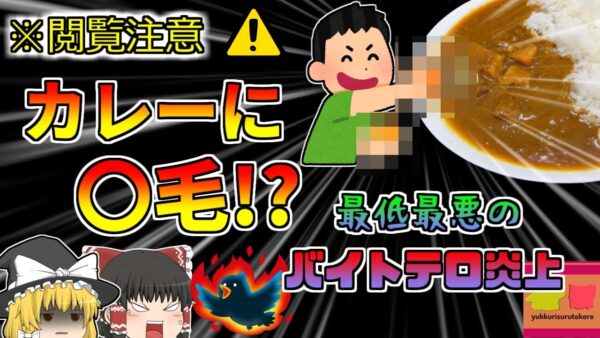 【2021年福岡】大学生バイト たった15秒の動画投稿で人生終了 福岡カレーチェーン店バイトテロ事件【ゆっくり解説】