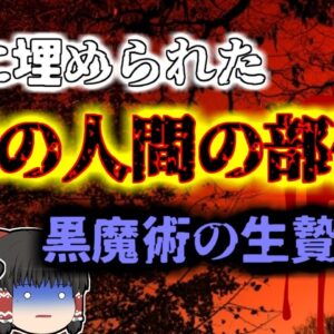 【2022年ｲﾝﾄﾞ】黒魔術によって庭に埋められていた56個の「人間だったもの」『インドヒーラー黒魔術バラバラ事件』【ゆっくり解説】